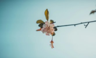 AI Dependency is Looming